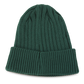 Green | Beanie